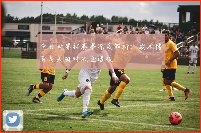 今日世界杯赛事深度解析：战术博弈与关键对决全透视